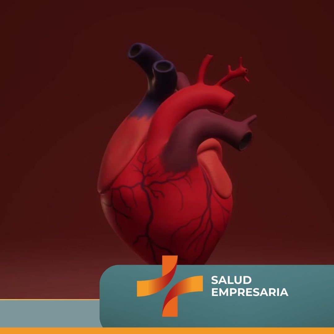 img001-salud-corazon